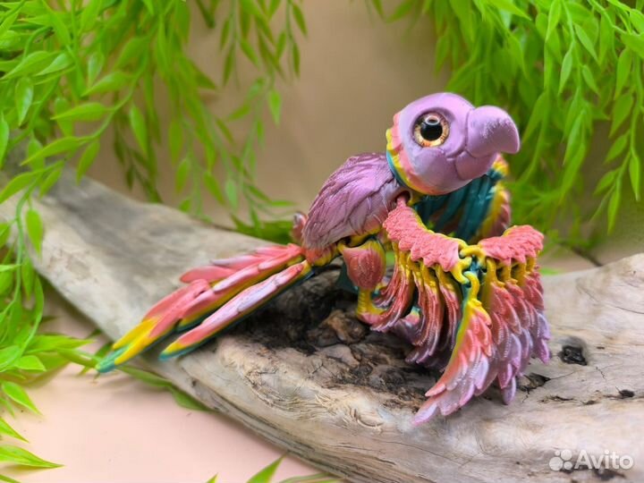 Попугай и ласточка