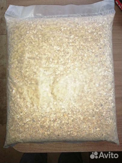 Каша для собак