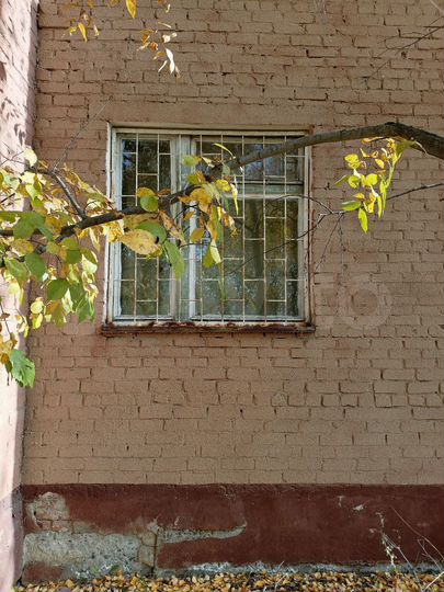 Комната 14,2 м² в 1-к., 1/2 эт.