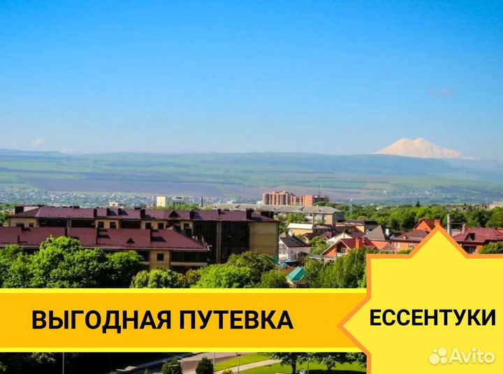 Тур Ессентуки на 6 ноч