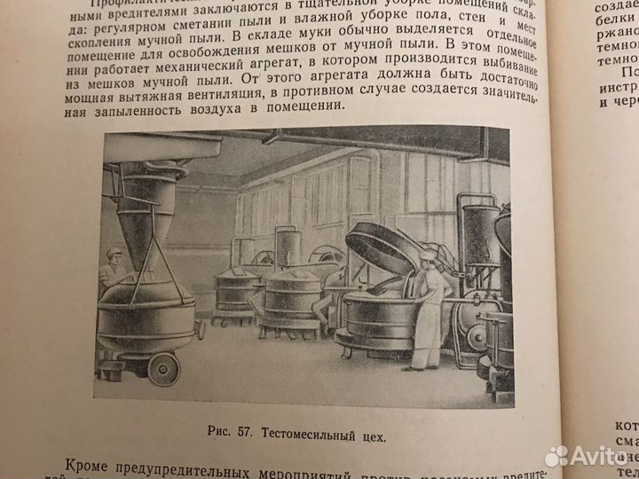 Гигиена питания