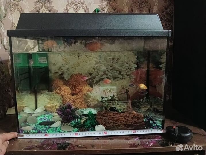 Аквариум