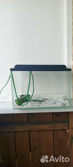 Аквариум