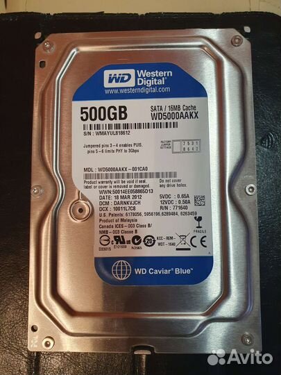 WD Blue 500 Gb
