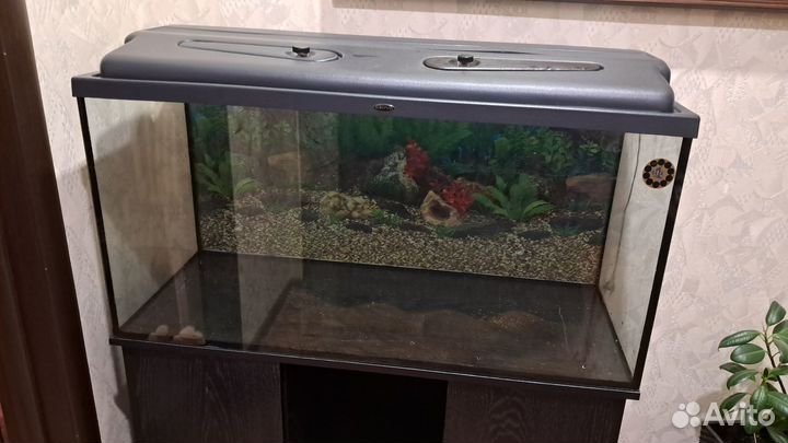 Аквариум 200 литров с тумбой (фирменный)