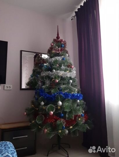 Сосна с инеем и шишками