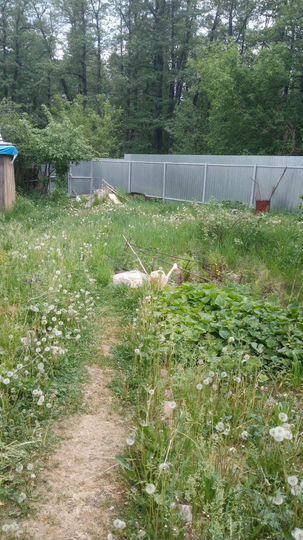 Участок 8 сот. (СНТ, ДНП)