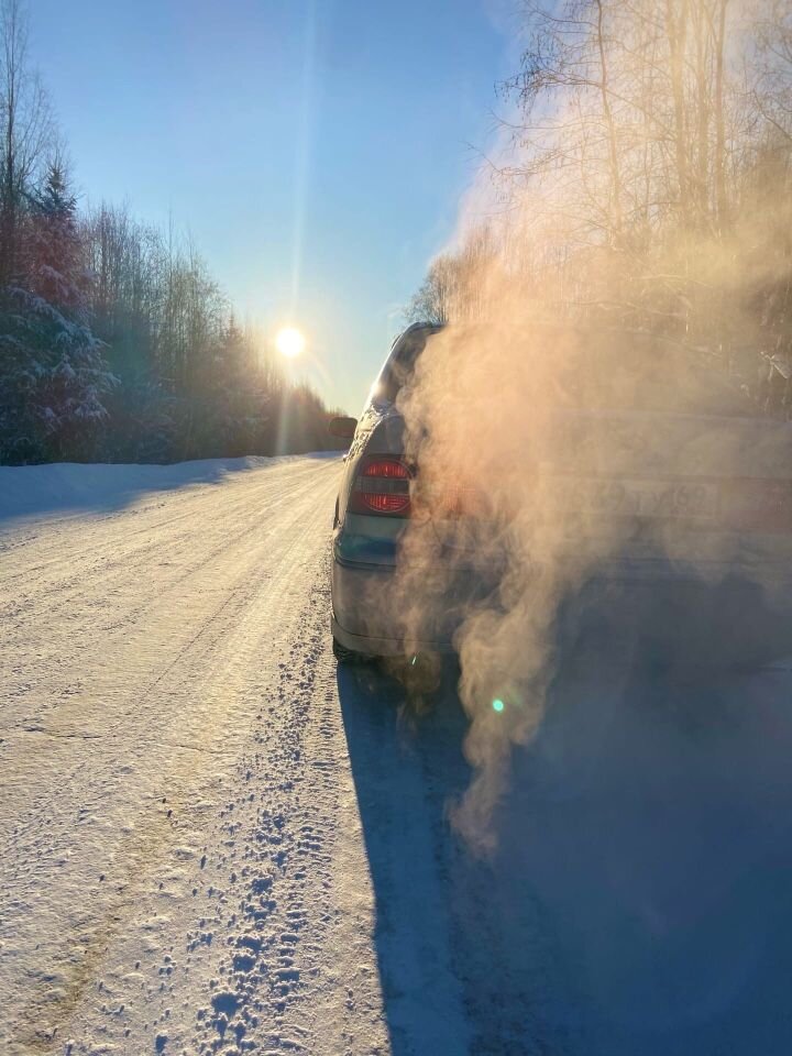 Toyota Vista: фото владельца