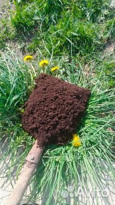 Торф в мешках