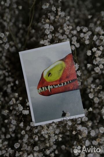 Смотри, динозавры, наклейки