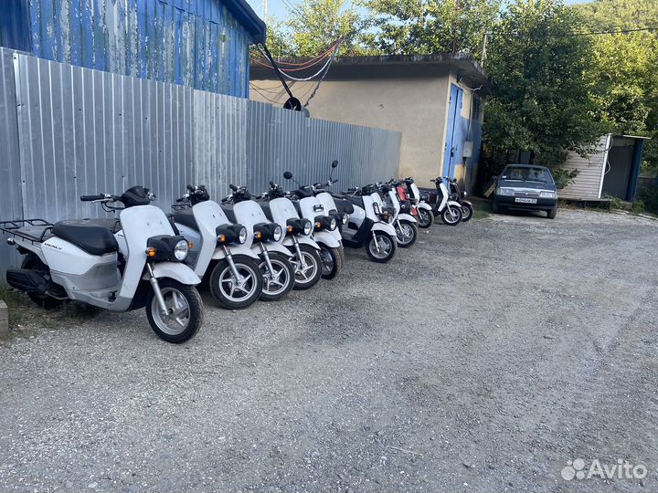 Honda DIO