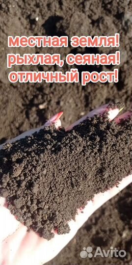 Чернозем плодородный грунт