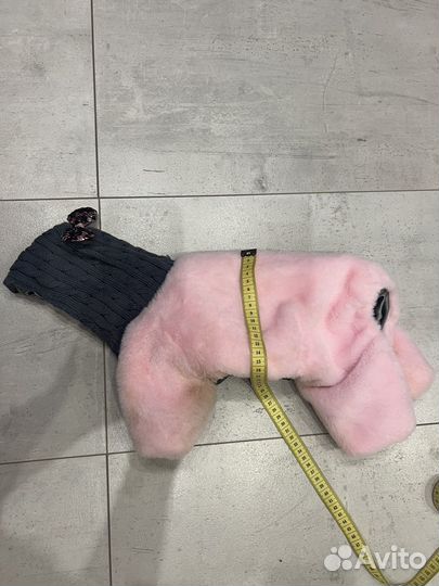 Одежда для собак мелких пород девочек