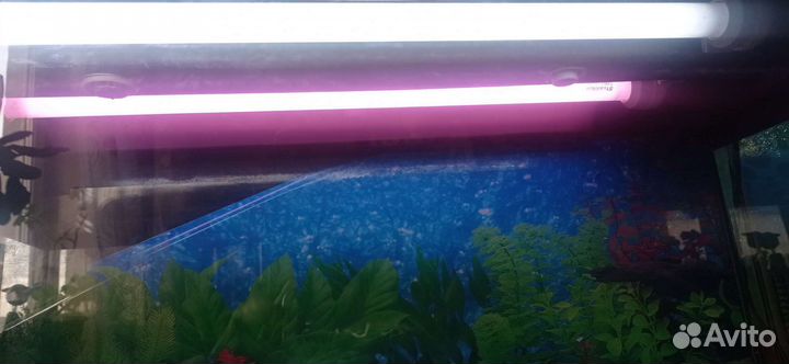 Аквариум с тумбой