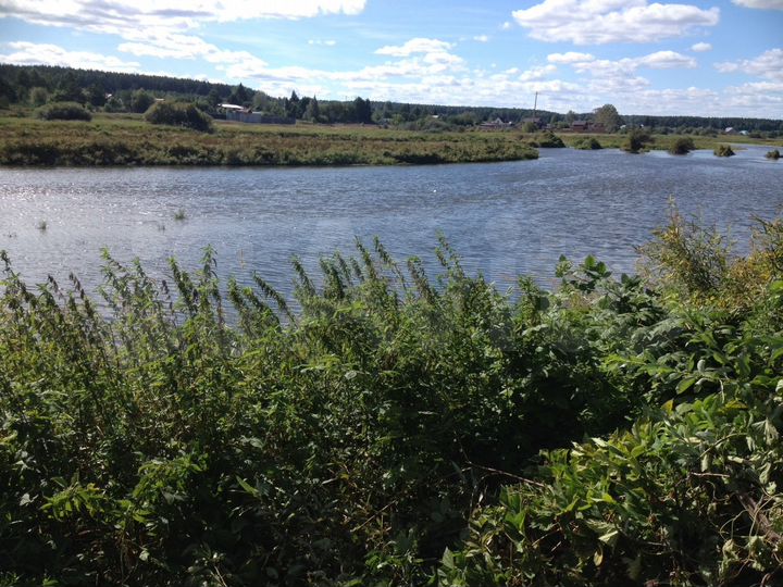 Участок 10 сот. (ИЖС)