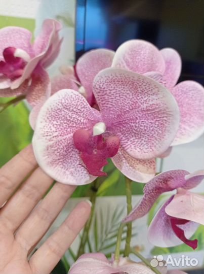 Орхидея искусственная в горшке