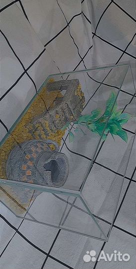 Аквариум с аксессуарами