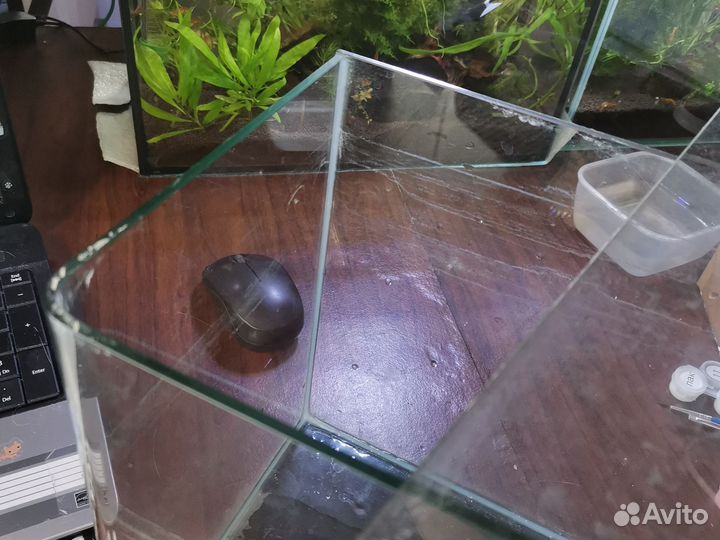 Аквариум 12л