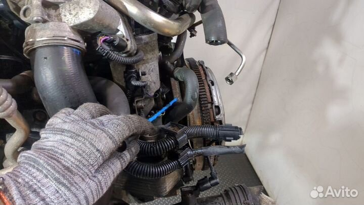 Двигатель Volkswagen Passat 6 BKP 2 Дизель, 2006