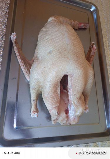 Гусиное мясо