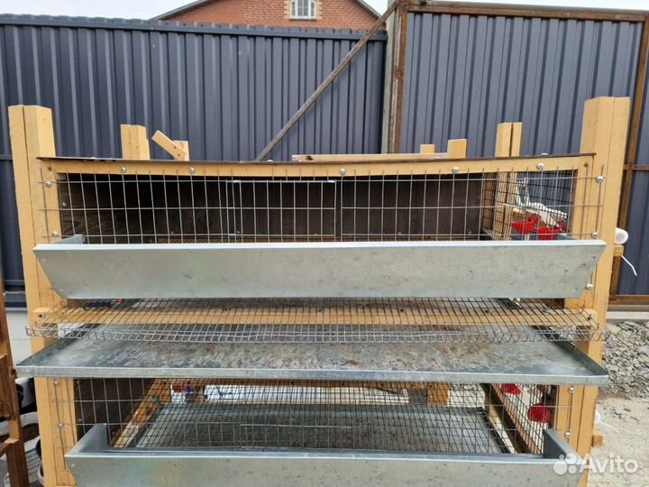 Клетки для перепелов б/у