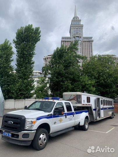 Полицейский водитель