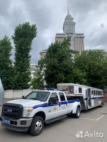 Полицейский водитель