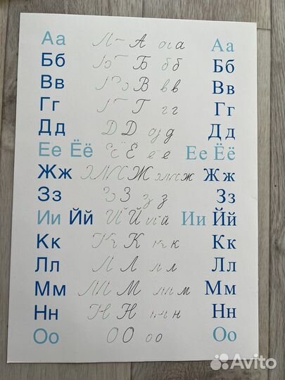 240 картинок -пособие Зайцева