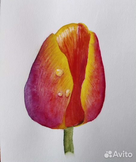 Акварельная работа 