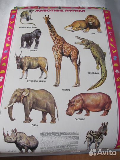 Плакаты флаги карты