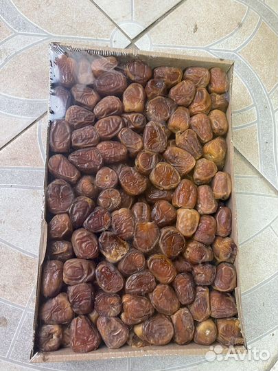 Финики Суккари