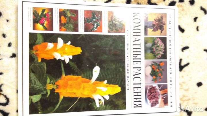 Что мы видели в США и Канаде 1957 г.СССР - США1961