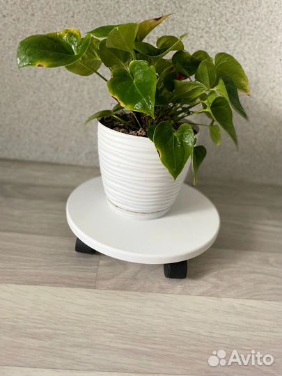 Подствка для цветов на колесах