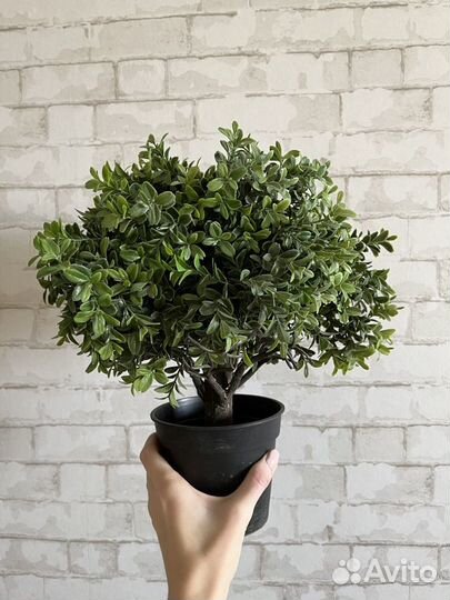 Искусственные растения в горшках