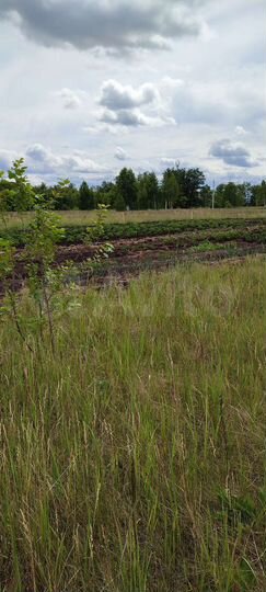 Участок 8 сот. (ИЖС)