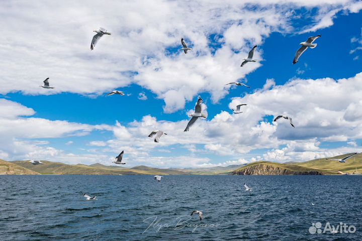 Экскурсии. Туры. Аршан, Ольхон, Листвянка