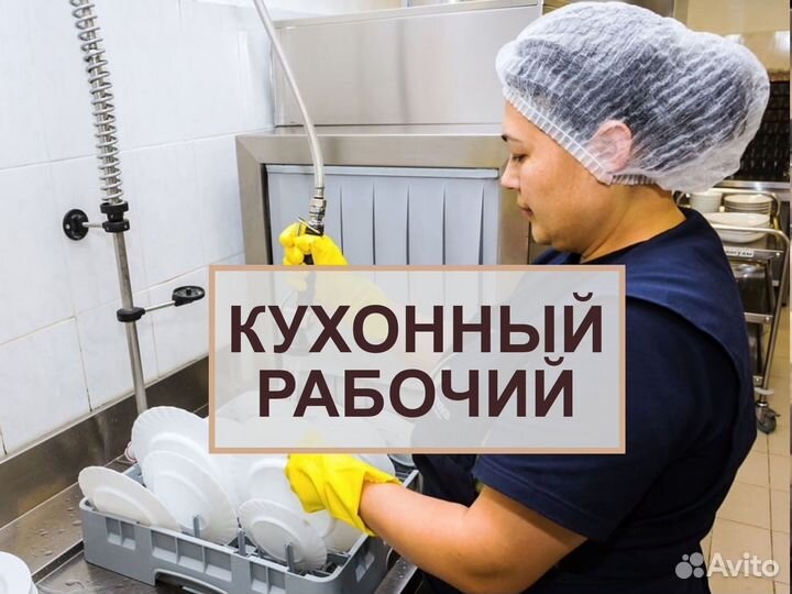 Мойщик посуды (оплата ежедневно)