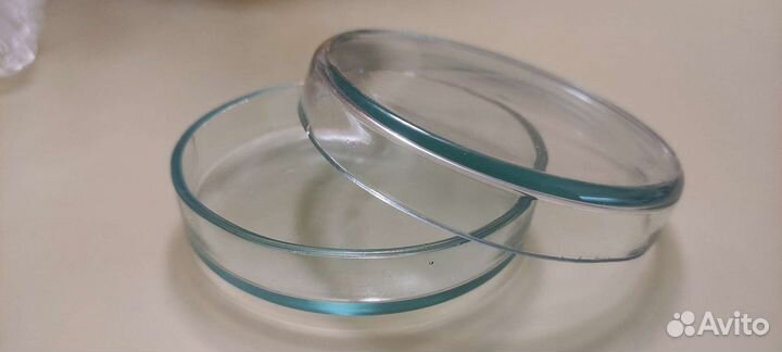 Чашки Петри стеклянные 10 см