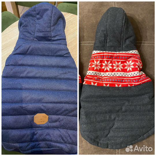 Новая куртка для собак