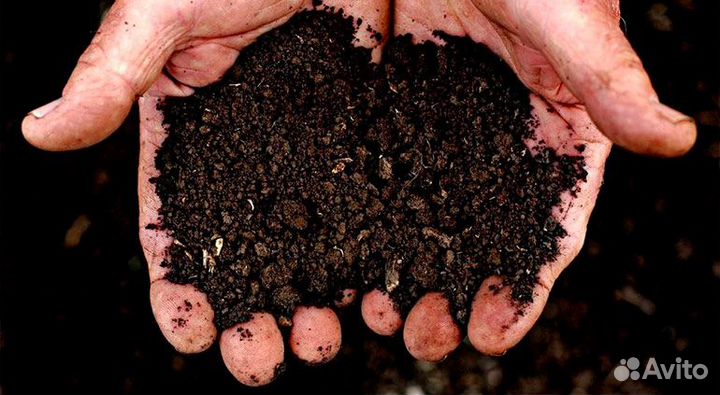 Чернозем с карьера плодородный с доставкой