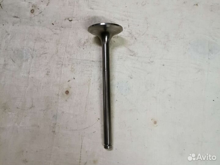 Клапан впускной D-10 10.04101.0004 49,9х11х166