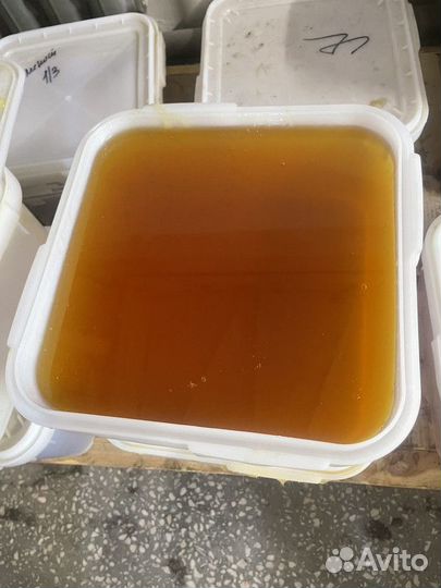 Свежий цветочный мёд оптом