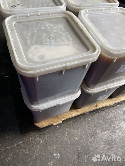 Гречишный натуральный мёд Качка 2023 только опт