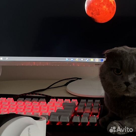 HyperX Alloy FPS Pro