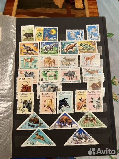 Почтовые марки