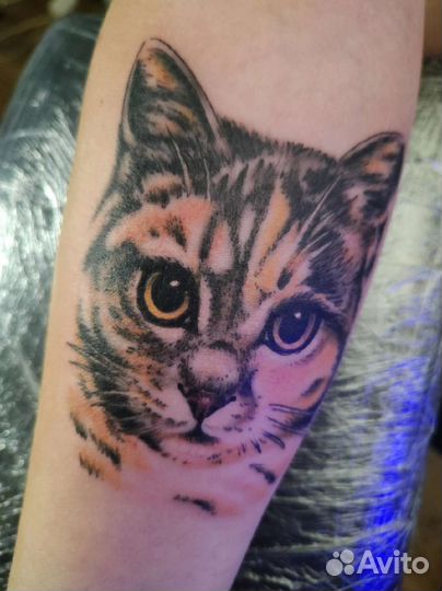 Грамотный тату мастер, студия tattoo, салон