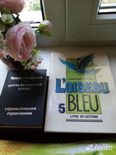 Словарь и учебник французского языка пакет