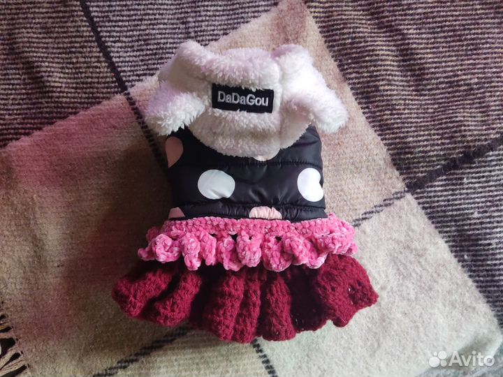 Одежда для маленькой собачки