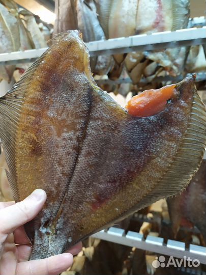 Камбала ерш вяленый от производителя
