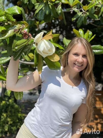 Предлагаю услуги няни